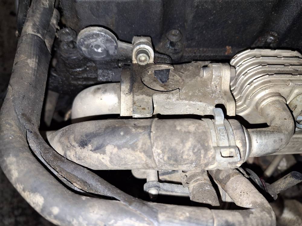 03G131063F Audi A3 2005 EGR-jäähdytin (pakokaasujen jäähdytin)