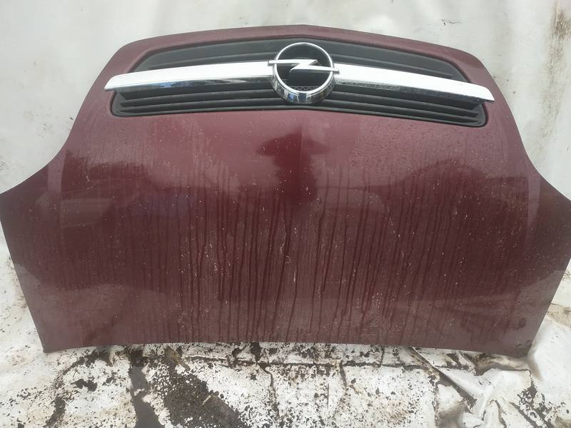 VYSNINIS Opel Meriva 2003 Hood