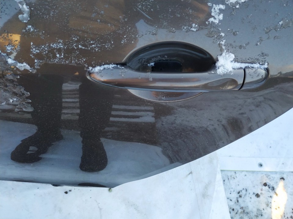 Renault Grand Scenic 2010 Duru isorine rankenele G.K.