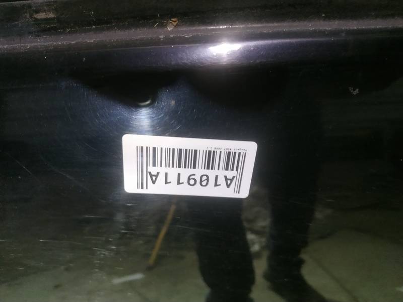 JUODOS Peugeot 4007 2008 Durvis - AIZMUGURE PA KREISI - Thumbnail 3