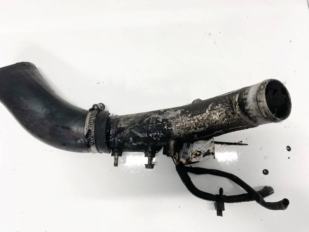 Nissan Primera 2004 Interkulerio zarna -  slanga