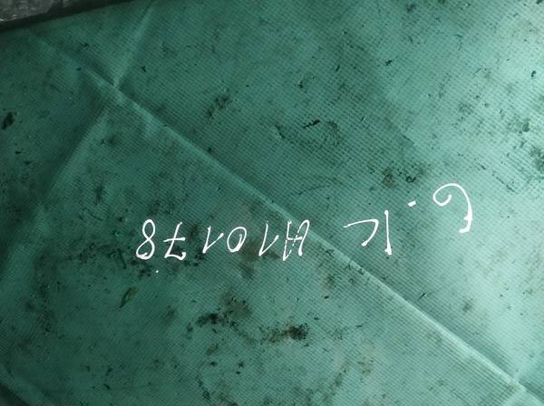 AS3 Volkswagen Touran 2005 Oven lasi - TAKANA VASEMMALLA - Thumbnail 3