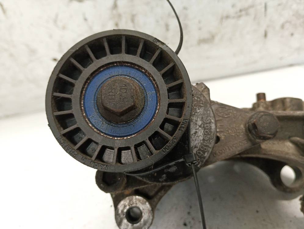 9685486880 Peugeot 207 2006 Dirzo itempejas (Paskirstymo dirzo itempejas)