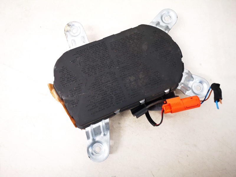 3482088061 BMW 5-Series 1997 Poduszka powietrzna boczna drzwi