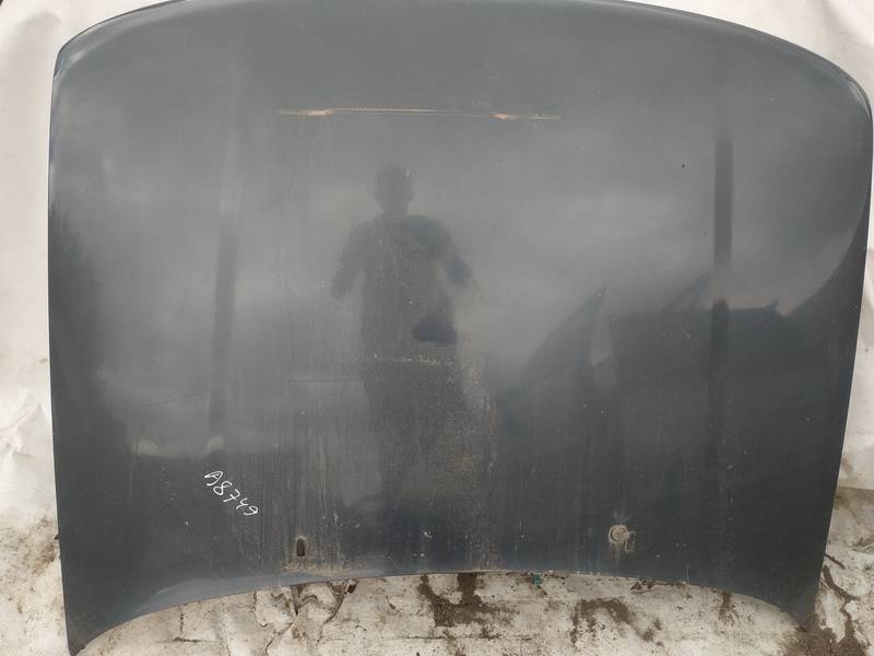 PILKAS Volkswagen Passat 1994 Kapotas (Variklio dangtis)