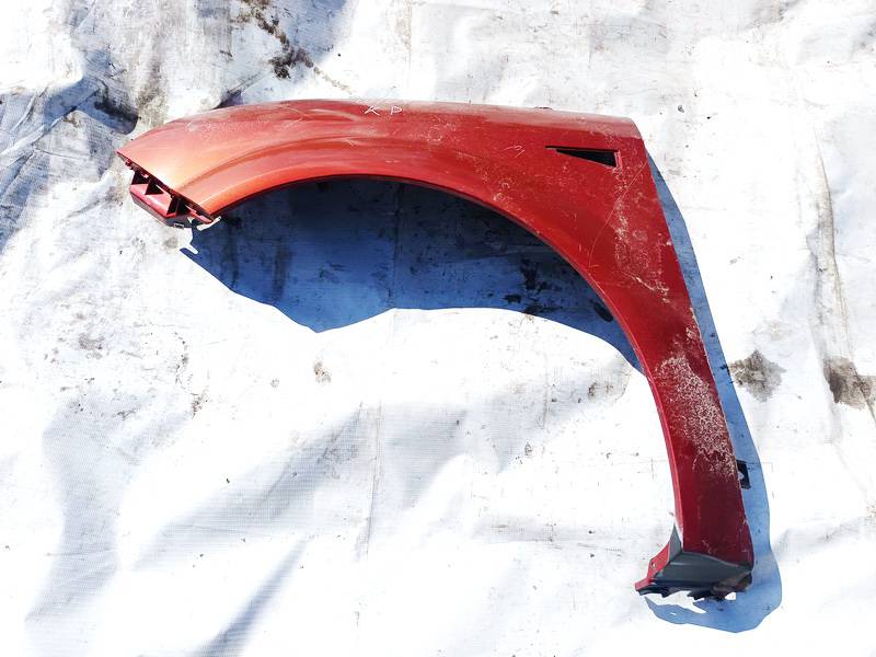 Renault Scenic 2007 Fender (Arch) - FRONT LEFT