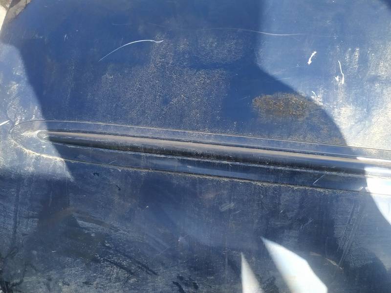 Chrysler Voyager 2002 Zewnętrzna listwa drzwi - PRZEDNIE LEWE - Thumbnail 3