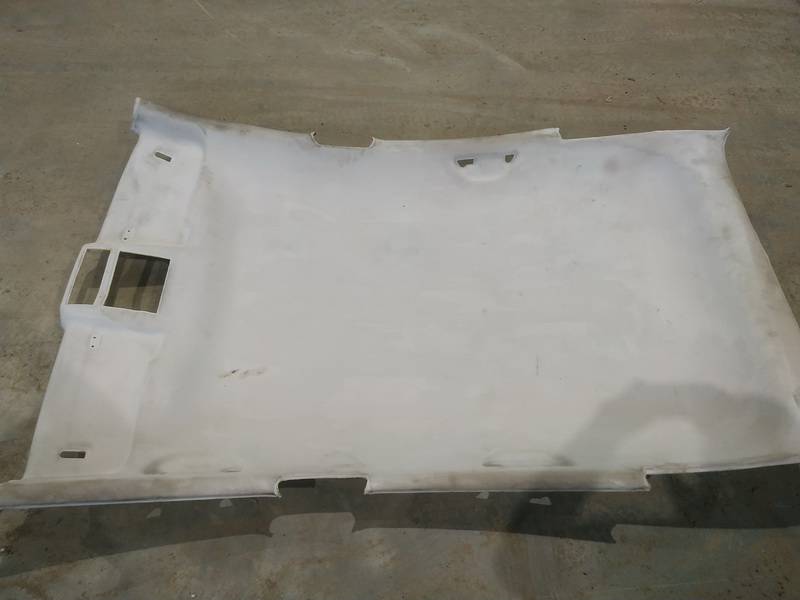 Seat Leon 2007 Stogo apmusimas