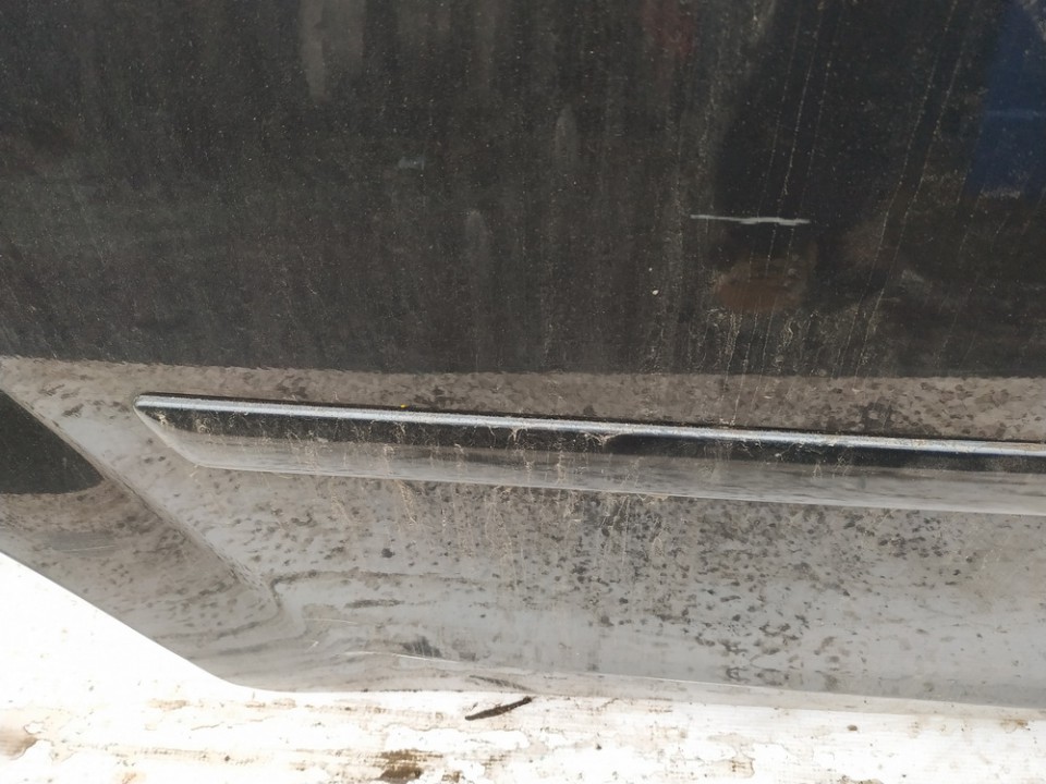 Ford Focus 2007 Listón embellecedor de la puerta delantera (moldura) - TRASERO DERECHO - Thumbnail 2