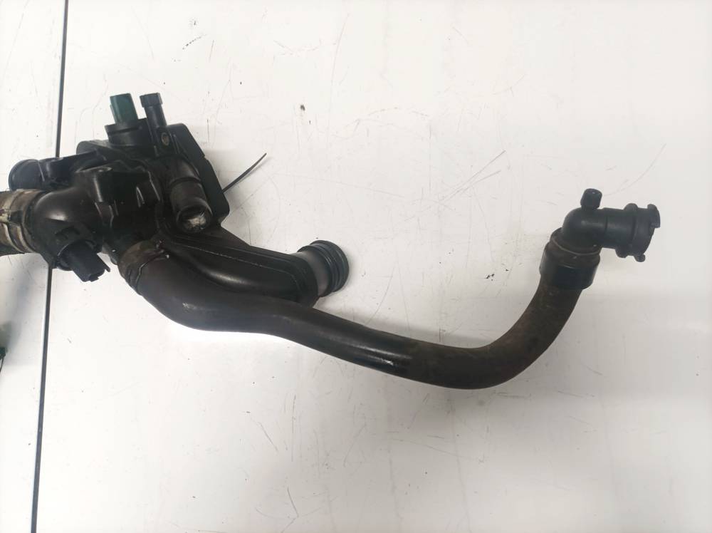 Peugeot 207 2009 Ūdens šļūtene