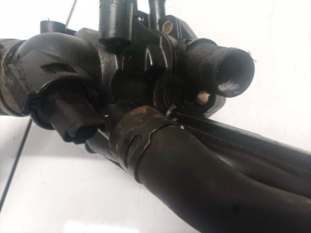 Peugeot 207 2009 Vandens slanga - Thumbnail 3