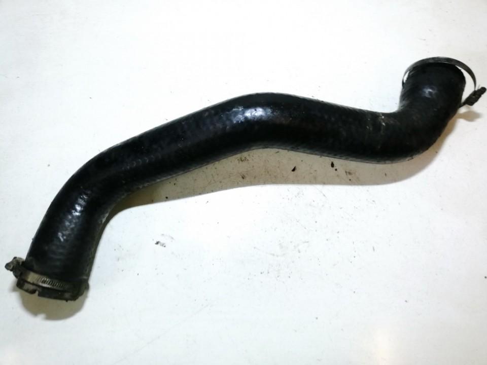 Renault Scenic 1998 Interkulera šļūtene