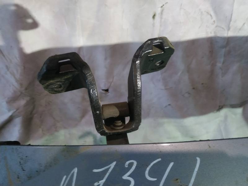 Renault Vel Satis 2003 Galinio Dangcio vyris G.K. (kapoto)