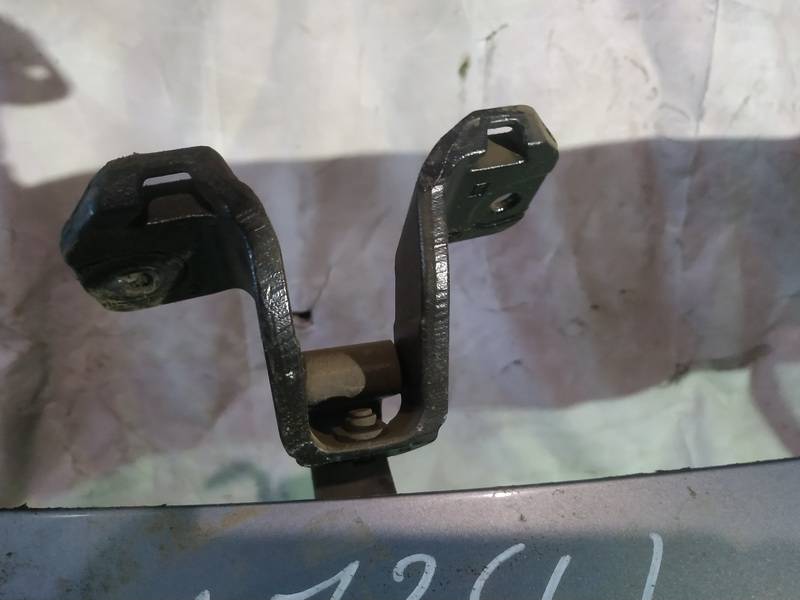 Renault Vel Satis 2003 Galinio Dangcio vyris G.K. (kapoto) - Thumbnail 2