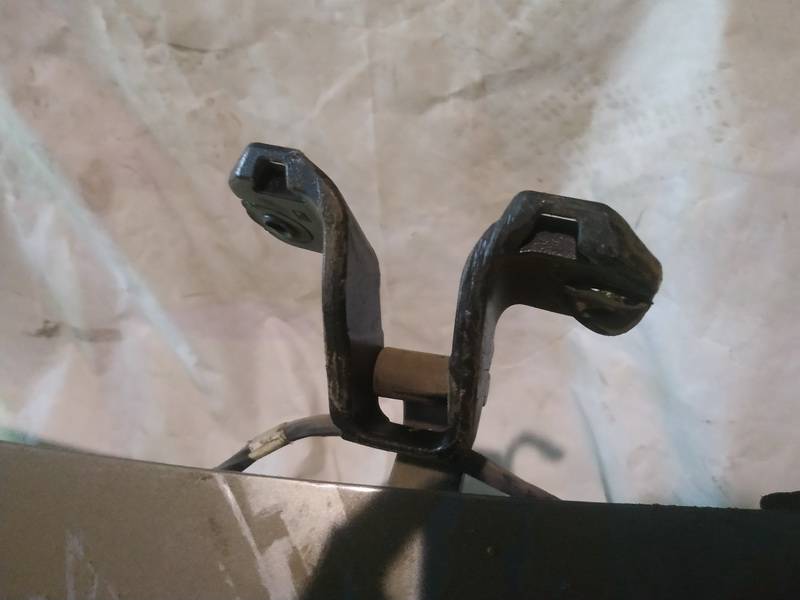 Renault Vel Satis 2003 Galinio Dangcio vyris G.D. (kapoto)