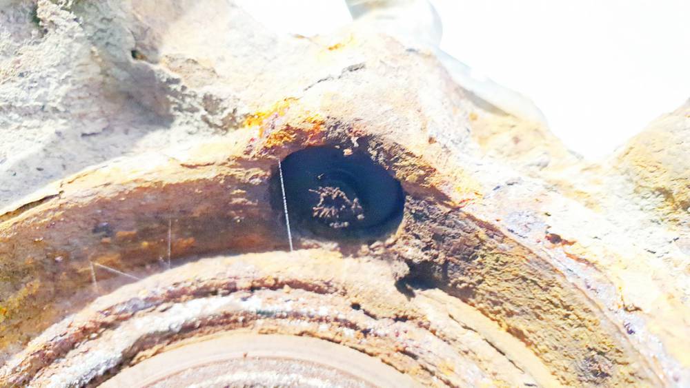 Toyota Yaris 2003 датчик ABS - передний правый - Thumbnail 2