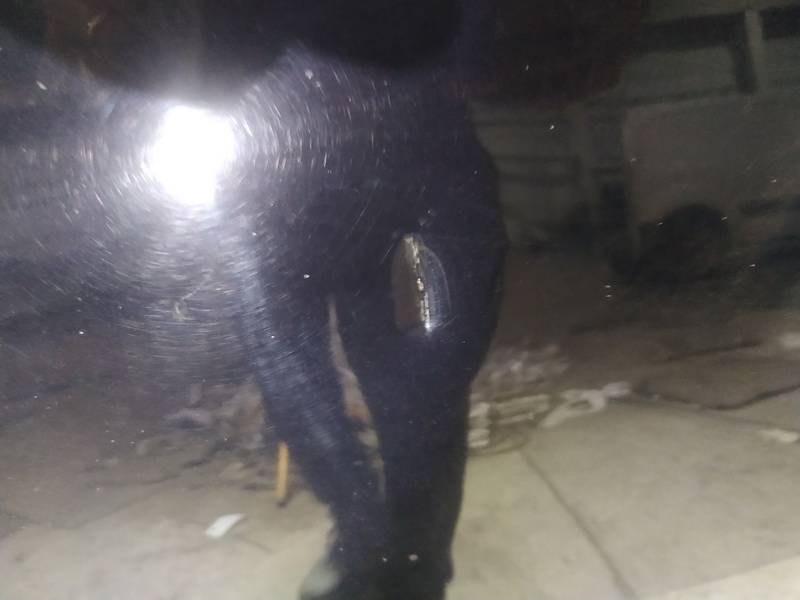 MELYNAS Fiat Punto 2005 Капот - Thumbnail 3