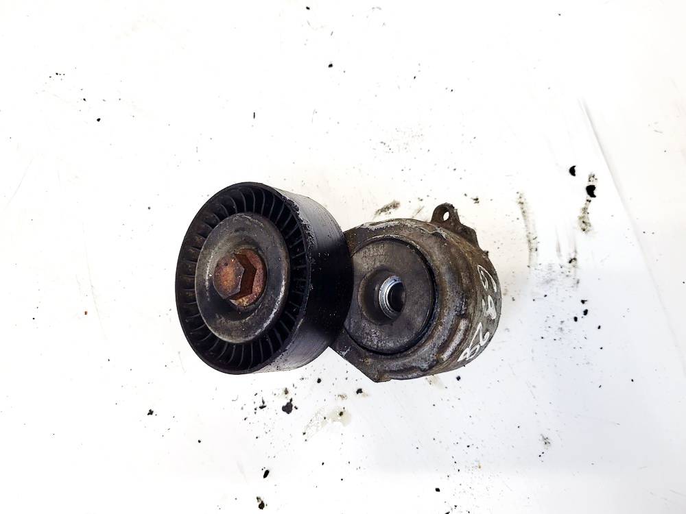 Citroen C5 2009 Dirzo itempejas (Paskirstymo dirzo itempejas)