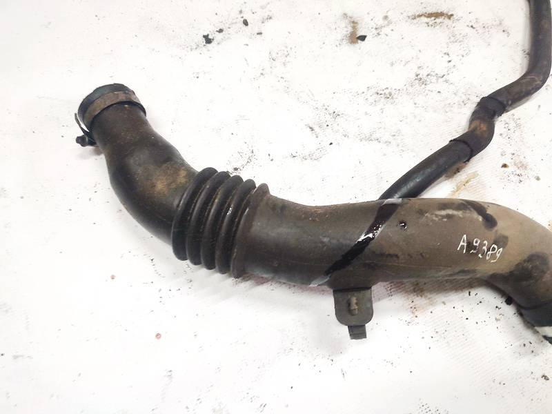 Renault Espace 2005 Gaisa šļūtene - Thumbnail 2