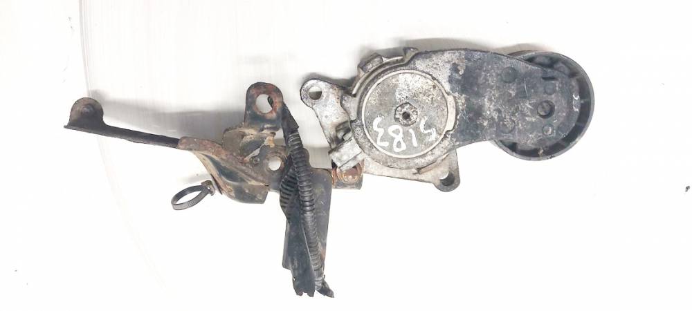 TF129B Ford Fiesta 2015 Dirzo itempejas (Paskirstymo dirzo itempejas)