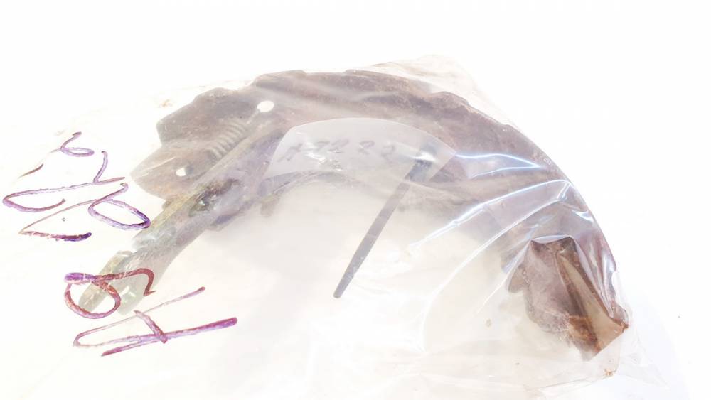 Toyota Corolla Verso 2006 Mechanizm hamulca ręcznego - Thumbnail 2