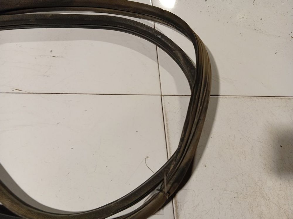 Renault Scenic 2002 Duru Guma P.D. - Thumbnail 2