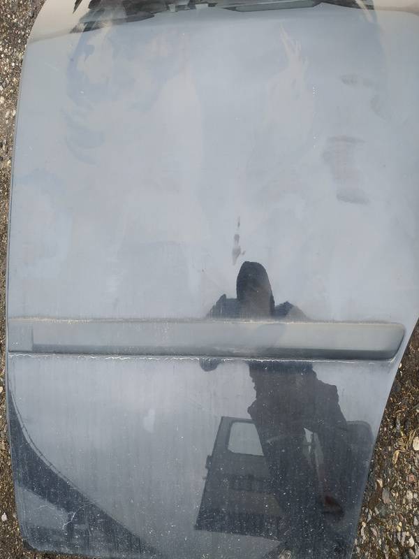 Skoda Octavia 2001 Molding door - REAR LEFT