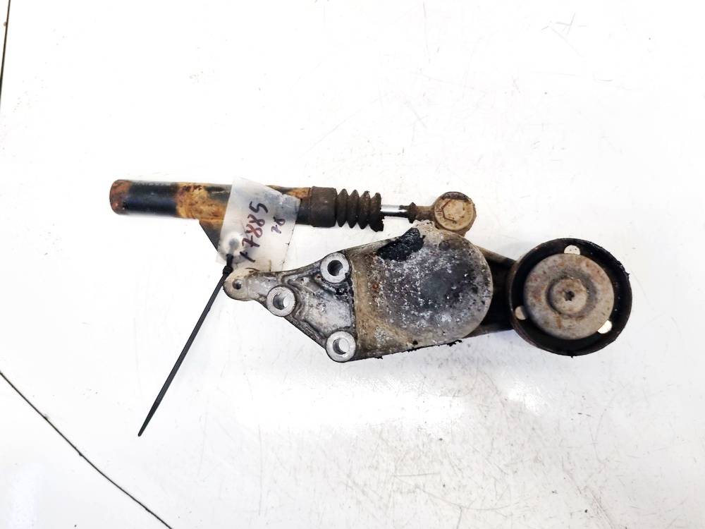 038903315 Skoda Octavia 2002 Ролик-натяжитель ручейкового ремня