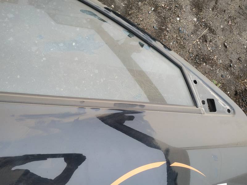 Skoda Octavia 2001 Glass Trim Molding-weatherstripping - FRONT RIGHT - Thumbnail 3