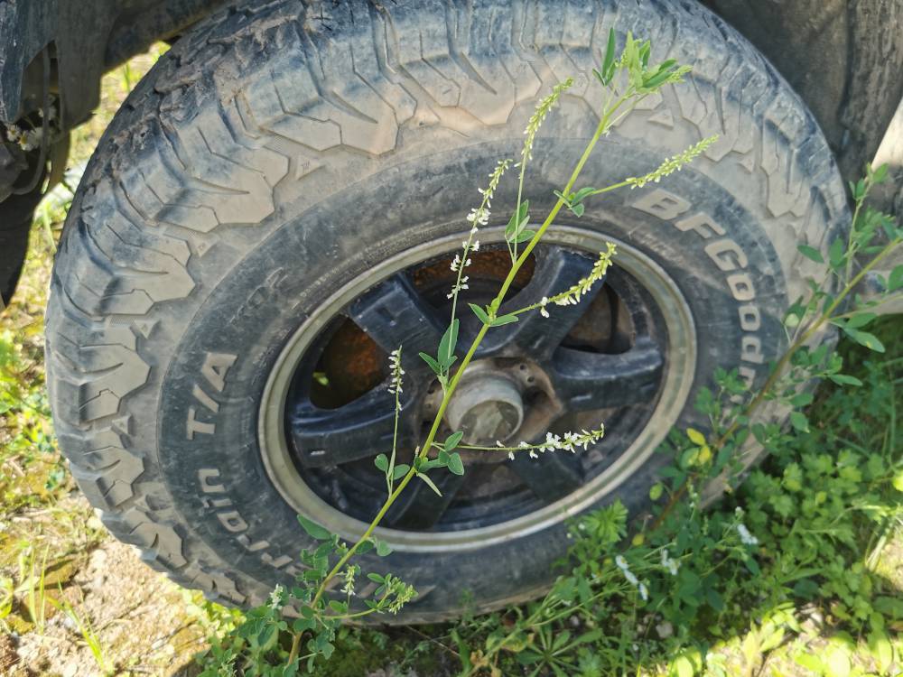 5X127 Jeep Grand Cherokee 2000 Komplet Kół Zimowych R16 - Thumbnail 4