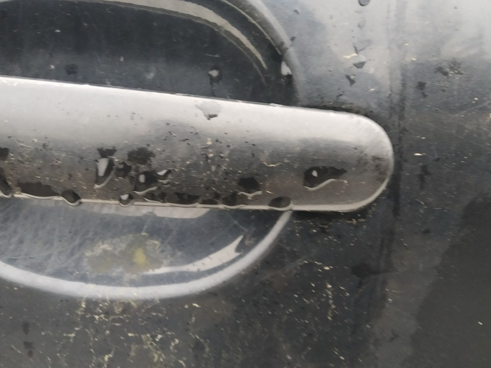 Skoda Octavia 2000 Door Handle Exterior - FRONT RIGHT - Thumbnail 3