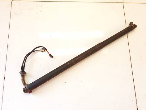 3T0827852C Skoda Superb 2011 Galinio Dangcio amortizatorius G. (kapoto)