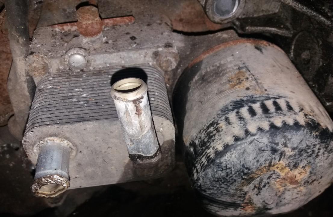 Ford Focus 2002 Oil radiator cooler (Oil Cooler)